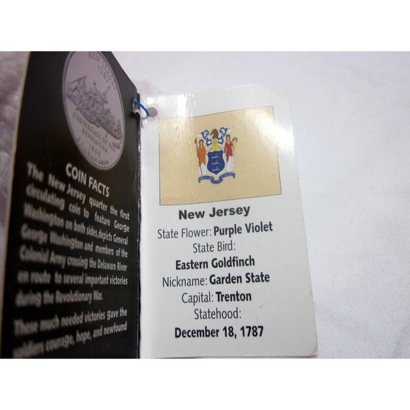 State of New Jersey Limited Treasure Coin Bear 2000 Green Tan White 9" Plush - Picture 4 of 5